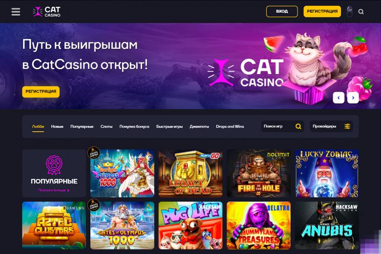Нюансы и ограничения при выводе выигрыша из Cat Casino Нюансы и ограничения при выводе выигрыша из Cat Casino